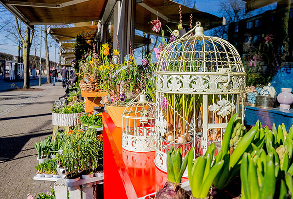 Blumenstrauss_Tante-Manfreds-Blumenstube_Blumen-kaufen-Benrath_Blumenladen-Düsseldorf