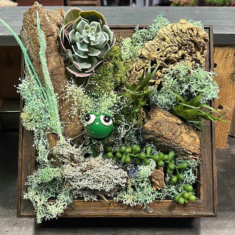 Moosbild Workshop Düsseldorf Benrath