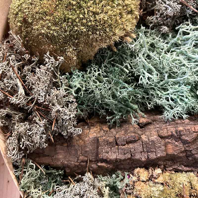 Moosbild gestalten Benrath