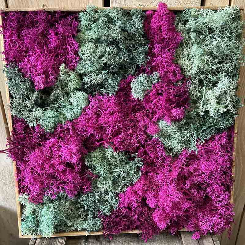 Moosbild gestalten Düsseldorf