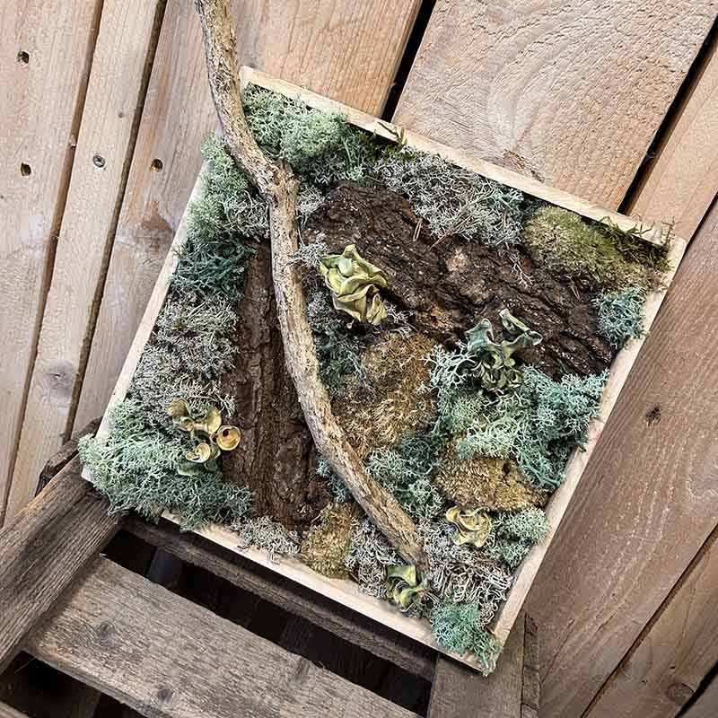 Moosbild selbst machen in Düsseldorf Benrath