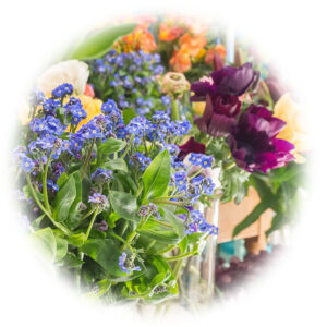 Schnittblumen_Blumenstrauß Düsseldorf_Blumen kaufen Düsseldorf Benrath_individuelle Blumensträuße