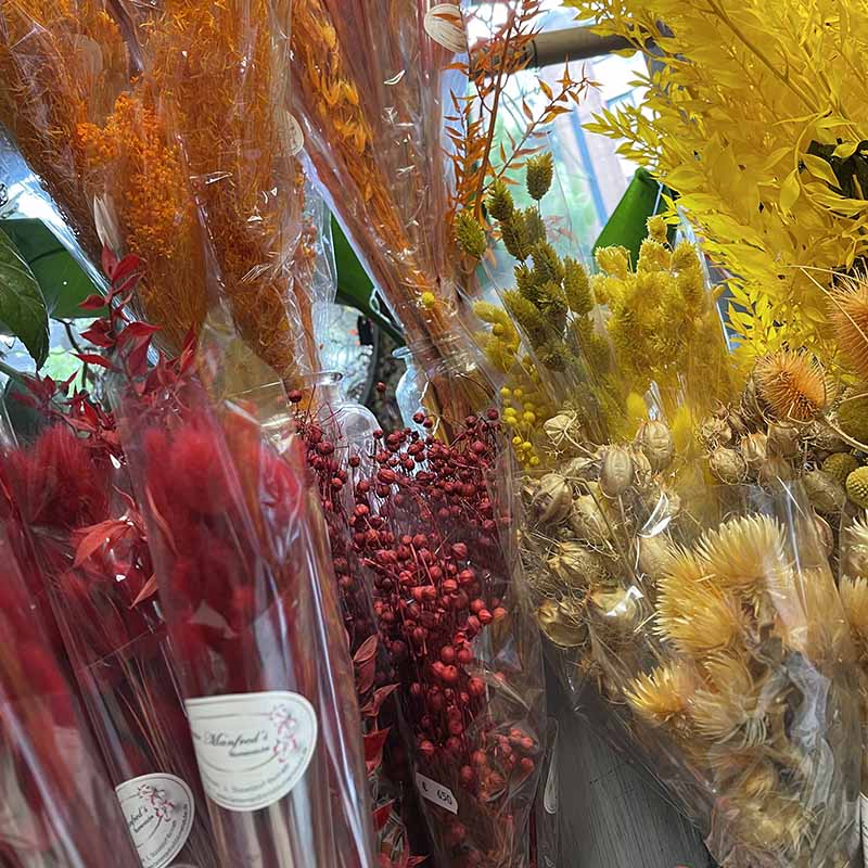 Trockenblumen Düsseldorf