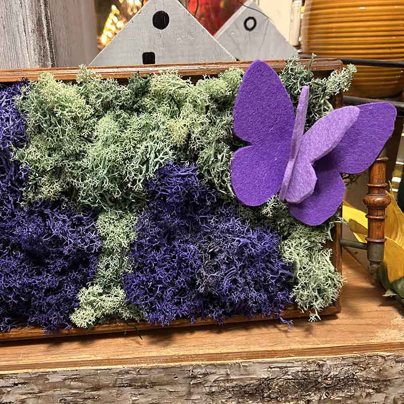 eigenes Mossbild gestalten Workshop Düsseldorf Benrath