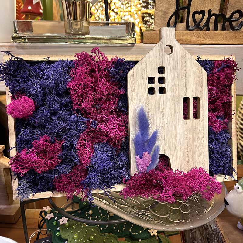 individuelles Moosbild mit Islandmoos