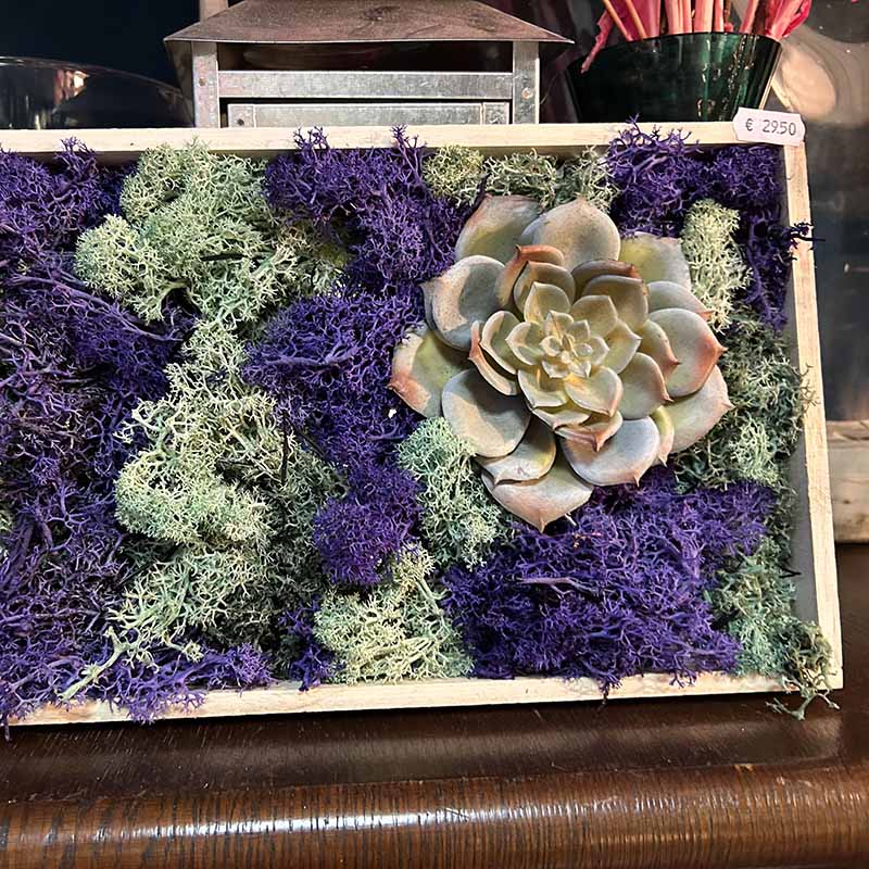 kreatives Moosbild Workshop Düsseldorf